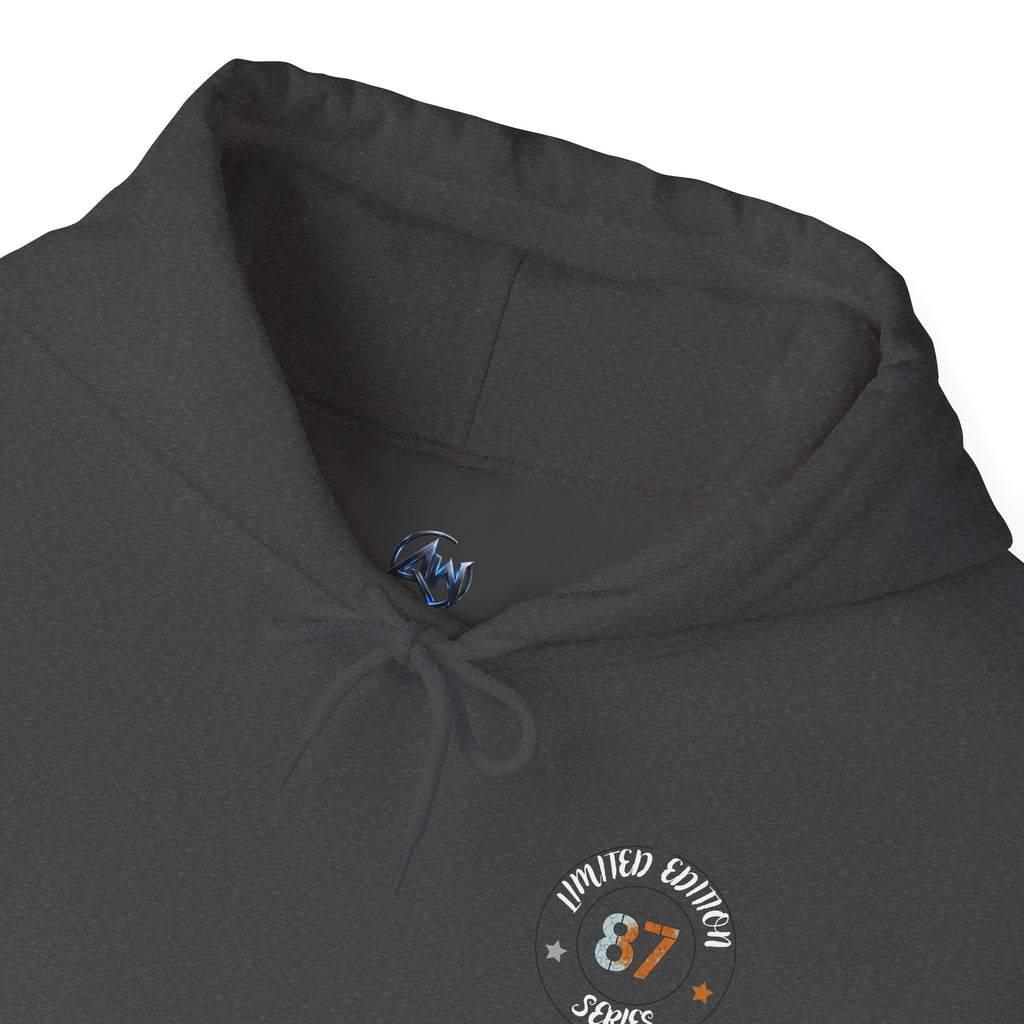 Hyena Graphic Baseball Hoodie "Leave Your Mark" 87 Series Limited Edition