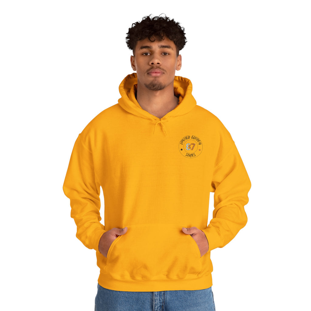 Hyena Graphic Baseball Hoodie "Leave Your Mark" 87 Series Limited Edition